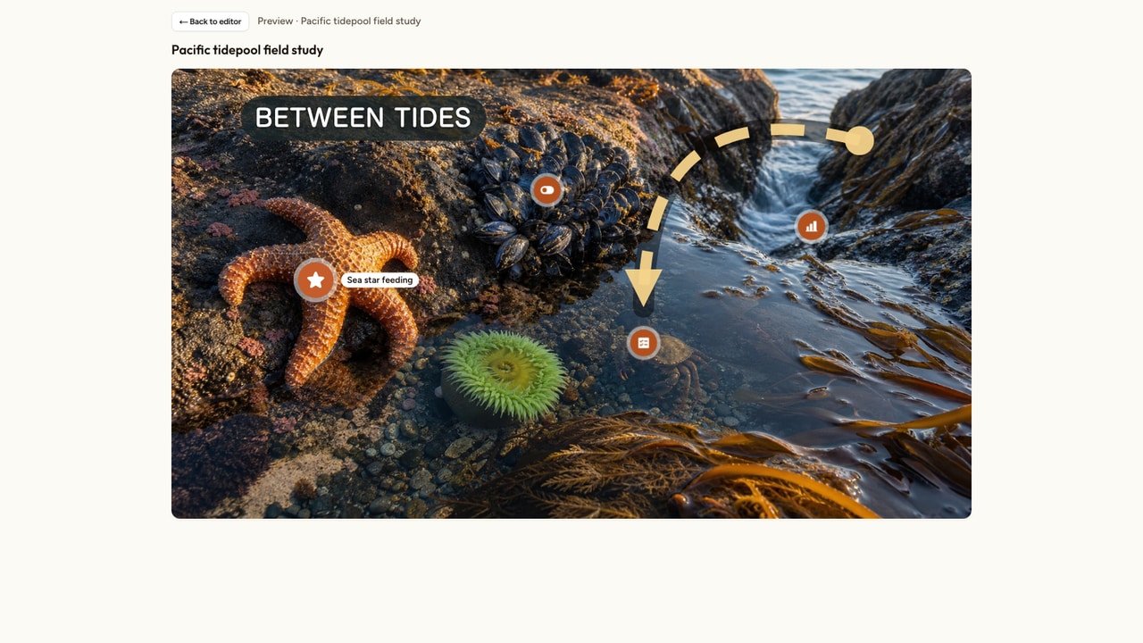 Current learner preview of a photorealistic Pacific tidepool with small markers placed on the sea star, mussels, crab, and water channel