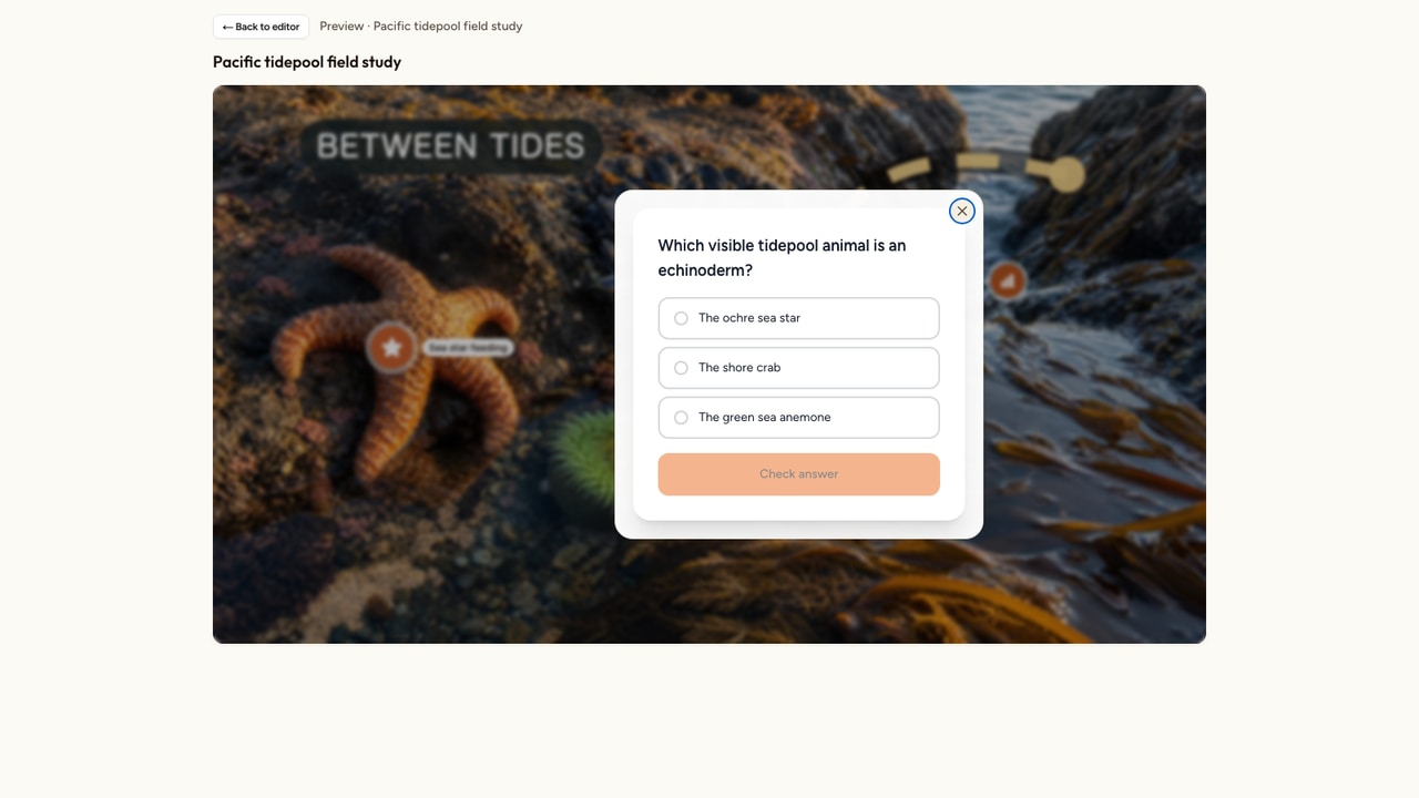 Interakly learner preview with a multiple-choice question open over a photorealistic Pacific tidepool while the other image markers remain visible