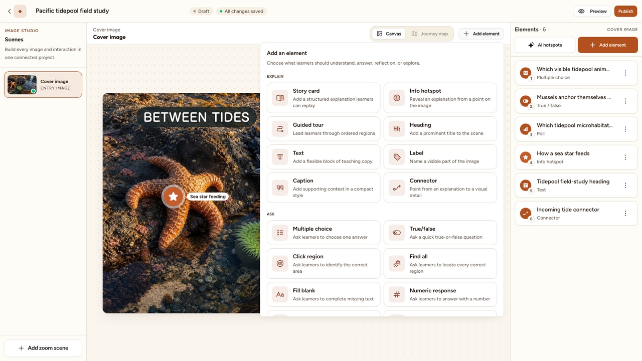 Current Image Studio Add element menu open over a Pacific tidepool project, with explanation and question choices visible